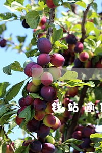 钱站逾期老是打电话 钱站逾期老是打电话