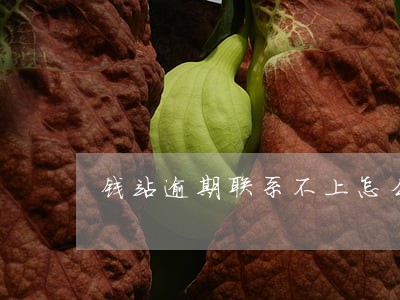 钱站逾期联系不上怎么办 钱站逾期联系不上怎么办