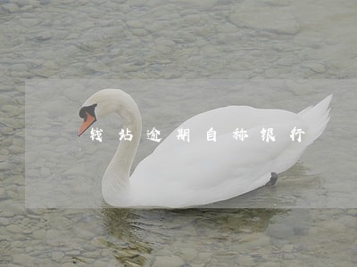 钱站逾期自称银行 钱站逾期自称银行