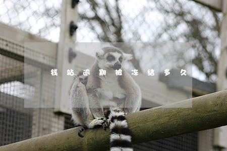 钱站逾期被冻结多久 钱站逾期被冻结多久