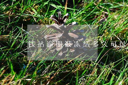 钱站逾期被冻结多久可以解冻 钱站逾期被冻结多久可以解冻