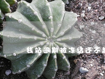 钱站逾期被冻结还不起怎么办 钱站逾期被冻结还不起怎么办