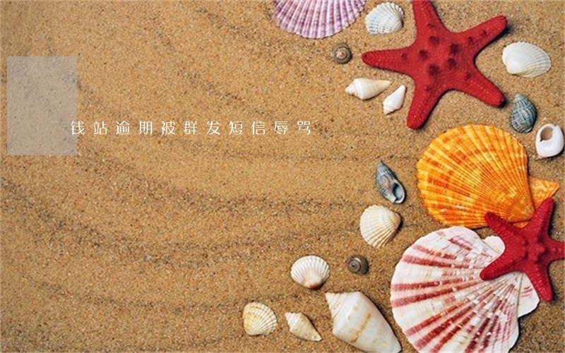 钱站逾期被群发短信辱骂