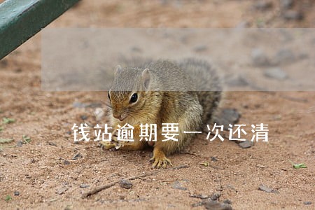 钱站逾期要一次还清 钱站逾期要一次还清