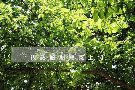 钱站逾期警察上门 钱站逾期警察上门