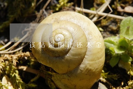钱站逾期让还本金 钱站逾期让还本金