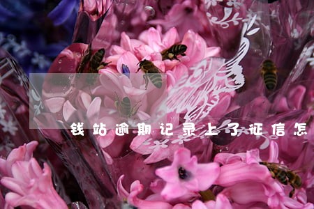 钱站逾期记录上了征信怎么消除