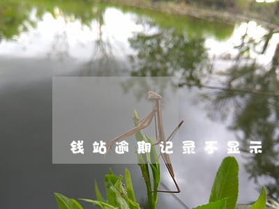 钱站逾期记录不显示 钱站逾期记录不显示