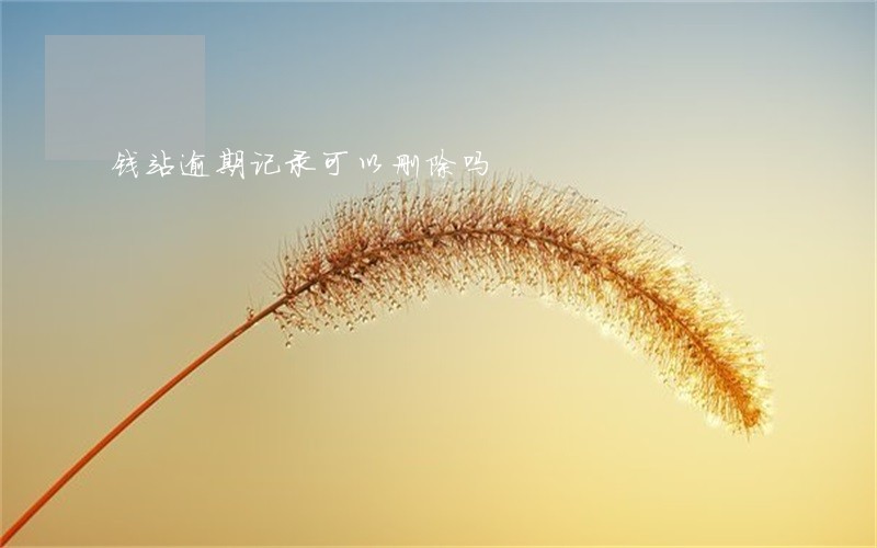 钱站逾期记录可以删除吗 钱站逾期记录可以删除吗