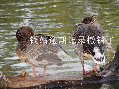 钱站逾期记录撤销了 钱站逾期记录撤销了