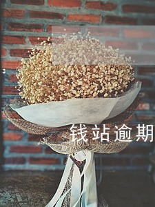 钱站逾期记录没有了 钱站逾期记录没有了