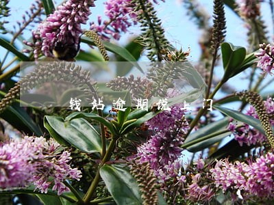 钱站逾期说上门 钱站逾期说上门