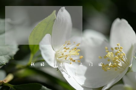 钱站逾期说上门回来吗 钱站逾期说上门回来吗