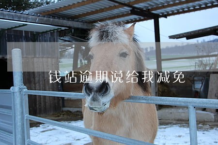 钱站逾期说给我减免 钱站逾期说给我减免
