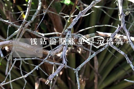 钱站逾期账单显示结清 钱站逾期账单显示结清
