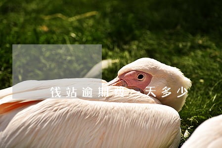 钱站逾期费一天多少 钱站逾期费一天多少