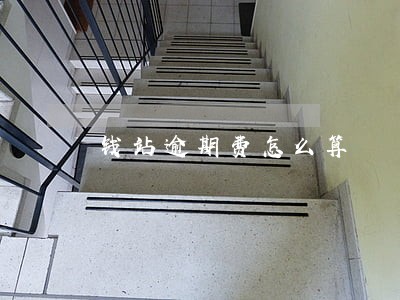 钱站逾期费怎么算 钱站逾期费怎么算