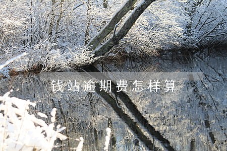 钱站逾期费怎样算 钱站逾期费怎样算