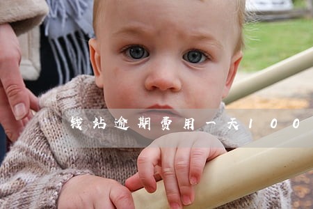 钱站逾期费用一天100 钱站逾期费用一天100