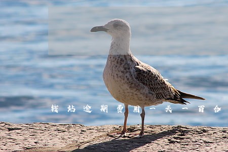 钱站逾期费用一天一百合适吗 钱站逾期费用一天一百合适吗