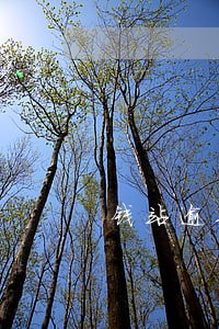 钱站逾期费用一天多少 钱站逾期费用一天多少