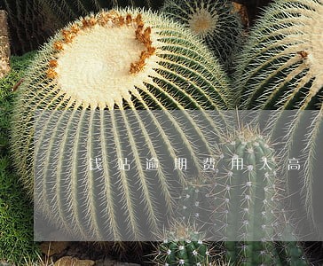 钱站逾期费用太高 钱站逾期费用太高