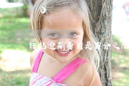 钱站逾期费用是百分之几 钱站逾期费用是百分之几