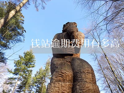 钱站逾期费用有多高 钱站逾期费用有多高