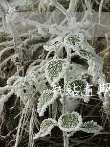 钱站逾期费用能减免么 钱站逾期费用能减免么