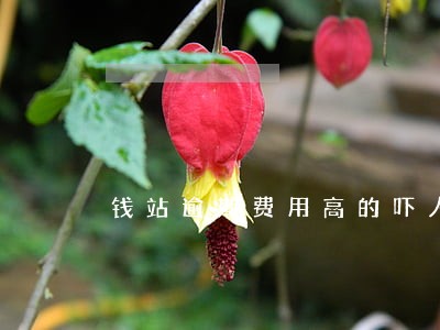 钱站逾期费用高的吓人怎么办 钱站逾期费用高的吓人怎么办