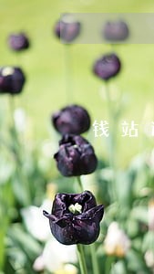 钱站逾期还款多久会上征信