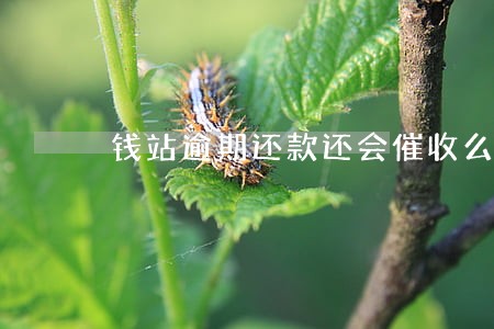 钱站逾期还款还会催收么 钱站逾期还款还会催收么
