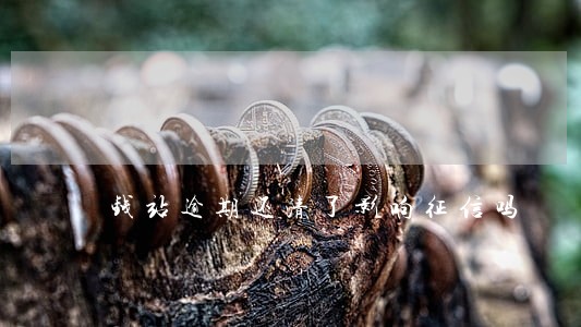 钱站逾期还清了影响征信吗 钱站逾期还清了影响征信吗