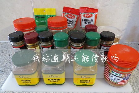 钱站逾期还能借款吗 钱站逾期还能借款吗
