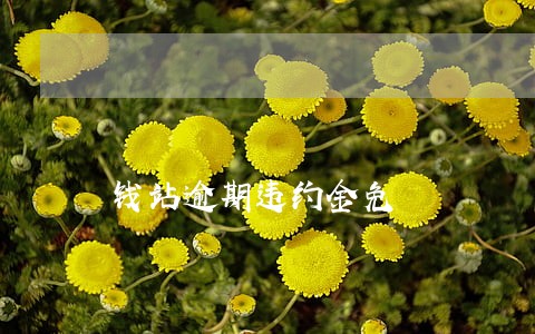 钱站逾期违约金免 钱站逾期违约金免
