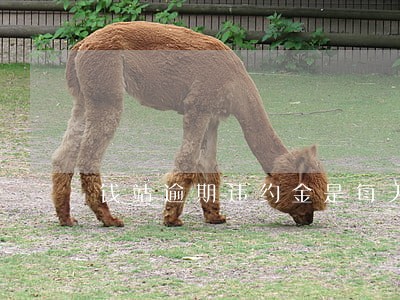 钱站逾期违约金是每天收吗 钱站逾期违约金是每天收吗
