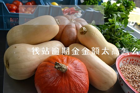 钱站逾期金金额太高怎么不 钱站逾期金金额太高怎么不