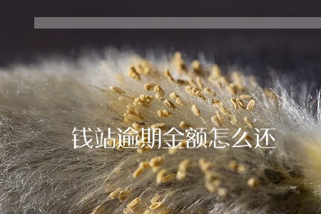 钱站逾期金额怎么还 钱站逾期金额怎么还