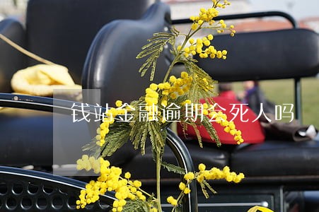 钱站金融逾期会死人吗 钱站金融逾期会死人吗