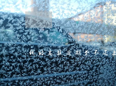 钱站高额逾期费不还上征信