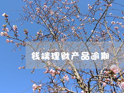 钱端理财产品逾期 钱端理财产品逾期