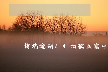 钱端逾期14亿被立案中国经济网