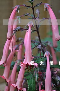 钱米信用卡代逾期 钱米信用卡代逾期