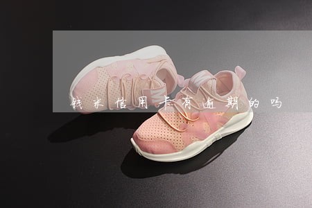 钱米信用卡有逾期的吗 钱米信用卡有逾期的吗