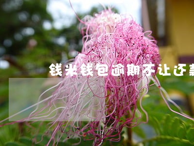 钱米钱包逾期不让还款 钱米钱包逾期不让还款