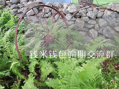 钱米钱包逾期交流群 钱米钱包逾期交流群