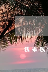 钱米钱包逾期服务费 钱米钱包逾期服务费