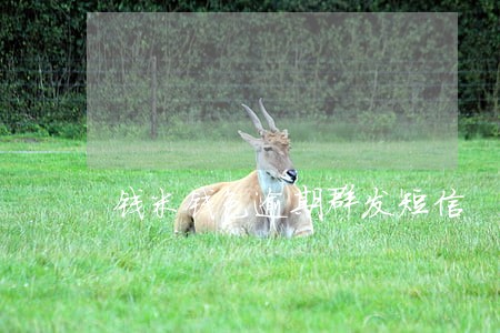钱米钱包逾期群发短信 钱米钱包逾期群发短信