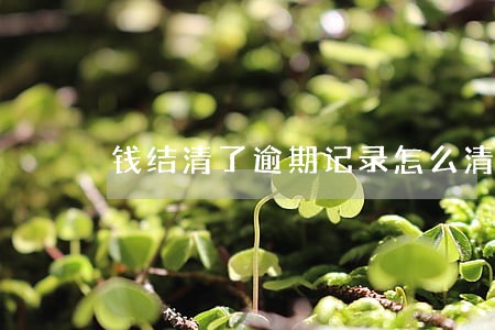 钱结清了逾期记录怎么清除 钱结清了逾期记录怎么清除
