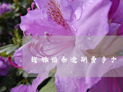 钱脉借条逾期费多少 钱脉借条逾期费多少